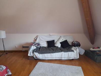 For rent Village-neuf 6 rooms 200 m2 Haut rhin (68128) photo 2