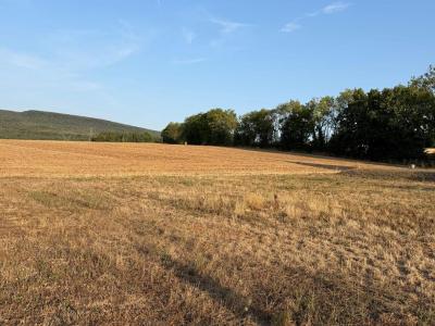 For sale Agey 950 m2 Cote d'or (21410) photo 0