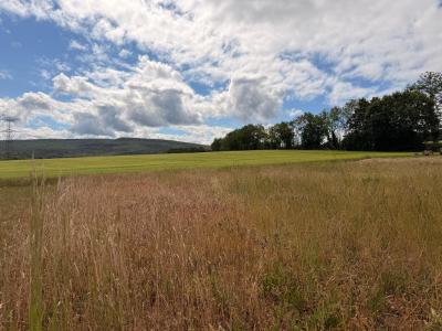For sale Agey 950 m2 Cote d'or (21410) photo 3
