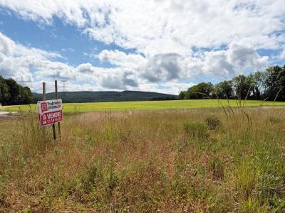 For sale Agey 950 m2 Cote d'or (21410) photo 4