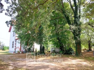 Annonce Vente 7 pi�ces Maison Bascons 40