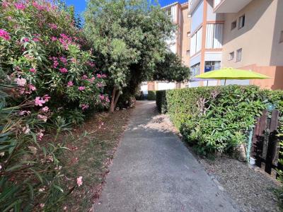 Annonce Vente 2 pi�ces Appartement Argeles-sur-mer 66