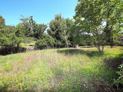 For sale Saint-gervais-sur-mare 10 rooms 300 m2 Herault (34610) photo 4