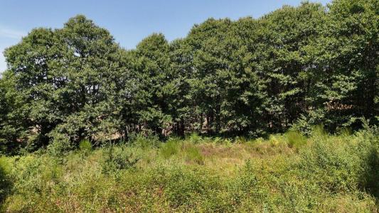 For sale Prats-de-carlux 4636 m2 Dordogne (24370) photo 2