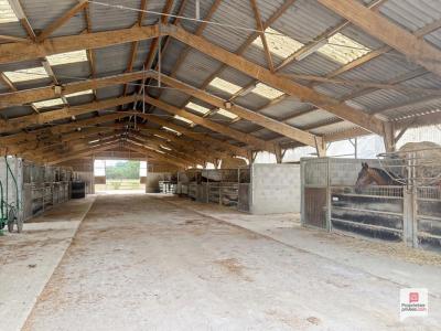 Annonce Vente 7 pi�ces Maison Thorigne-d'anjou 49