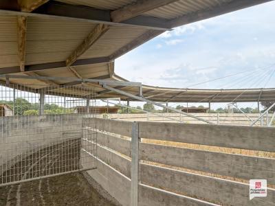 Acheter Maison Thorigne-d'anjou 900000 euros