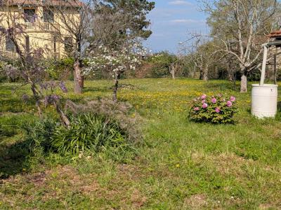 Annonce Vente 7 pi�ces Maison Bergerac 24