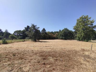 Annonce Vente 2 pi�ces Maison Barbechat 44