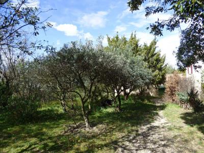 Acheter Terrain 500 m2 Rochefort-du-gard