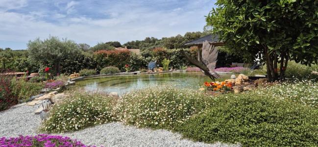 For sale Argelliers 8 rooms 265 m2 Herault (34380) photo 3