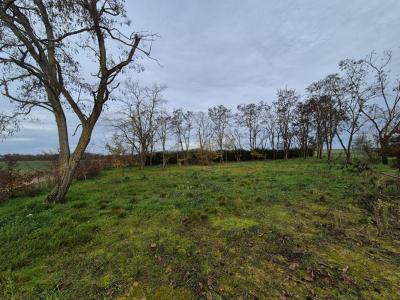 For sale Chapelle-saint-martin-en-plaine 1500 m2 Loir et cher (41500) photo 0