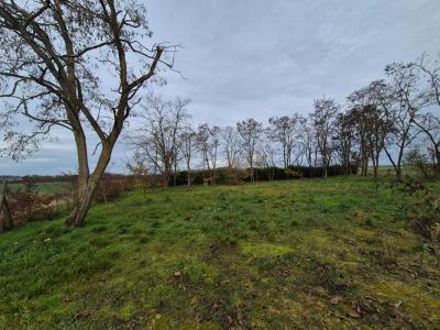 For sale Chapelle-saint-martin-en-plaine 1500 m2 Loir et cher (41500) photo 1