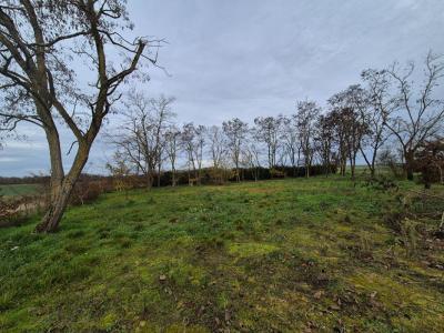 For sale Chapelle-saint-martin-en-plaine 1500 m2 Loir et cher (41500) photo 2