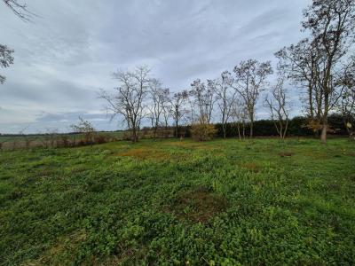 For sale Chapelle-saint-martin-en-plaine 1500 m2 Loir et cher (41500) photo 3