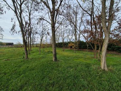 For sale Chapelle-saint-martin-en-plaine 1500 m2 Loir et cher (41500) photo 4