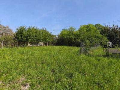 For sale Toulouse 370 m2 Haute garonne (31400) photo 0
