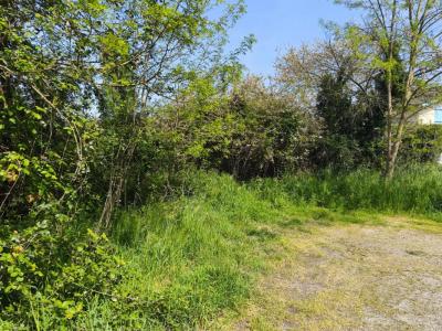 Acheter Terrain 370 m2 Toulouse