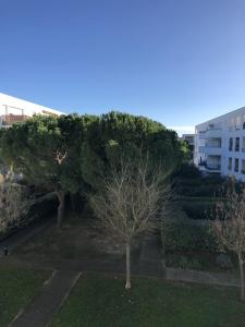 Louer Appartement 20 m2 