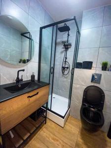 Louer Appartement 31 m2 Lyon-7eme-arrondissement