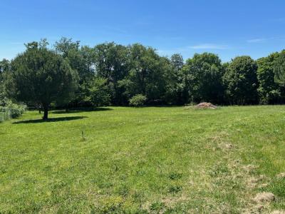 For sale Gratentour 5553 m2 Haute garonne (31150) photo 0