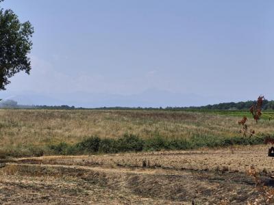 Acheter Maison Aries-espenan 195000 euros