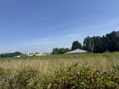For sale Pau 3839 m2 Pyrenees atlantiques (64000) photo 1