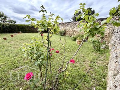 Acheter Maison 320 m2 Condom