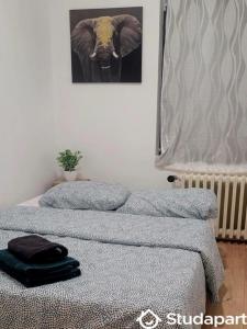For rent Cambrai 2 rooms 30 m2 Nord (59400) photo 0