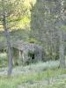 For sale Land Crestet PROCHE VILLAGE 60 m2