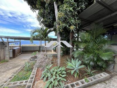 Annonce Location 4 pi�ces Maison Saint-leu 974