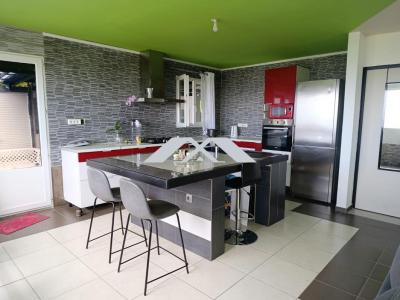 Annonce Location 4 pi�ces Maison Saint-louis 974