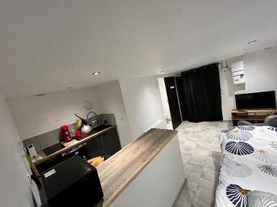 For rent Saint-ciers-sur-gironde 1 room 20 m2 Gironde (33820) photo 0