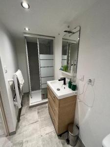 Louer Appartement 20 m2 Saint-ciers-sur-gironde
