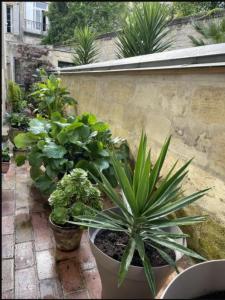 Louer Appartement 25 m2 Bordeaux