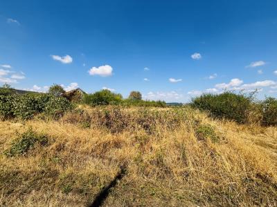 Acheter Terrain 