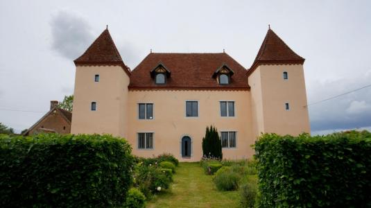 For sale Saint-martin-en-bresse 15 rooms 522 m2 Saone et loire (71620) photo 0
