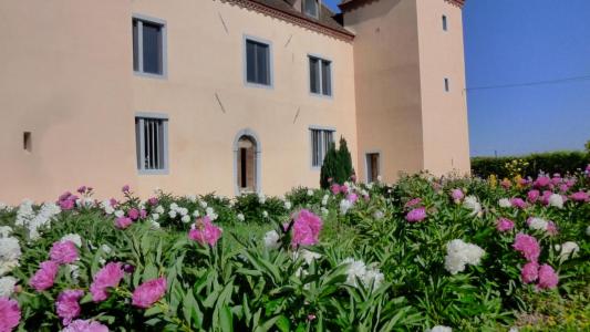For sale Saint-martin-en-bresse 15 rooms 522 m2 Saone et loire (71620) photo 3