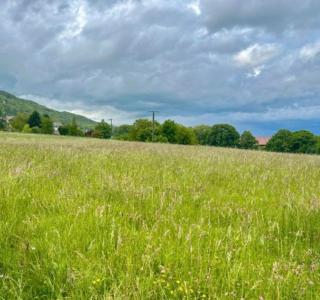 Acheter Maison Cuzieu 308400 euros