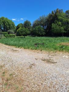For sale Salon-de-provence 450 m2 Bouches du Rhone (13300) photo 1