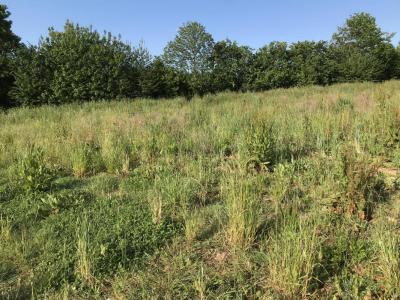 Annonce Vente 5 pi�ces Maison Loperhet 29