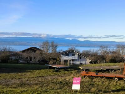 For sale Marin 5 rooms 115 m2 Haute savoie (74200) photo 1