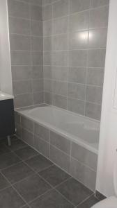 Annonce Location 2 pi�ces Appartement Echirolles 38