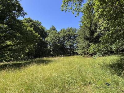 Annonce Vente 7 pi�ces Maison Chamberet 19