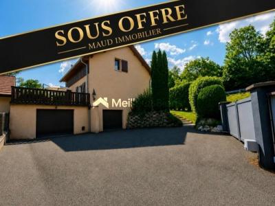 For sale Echenevex 4 rooms 109 m2 Ain (01170) photo 0