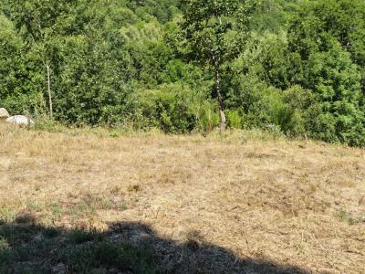 For sale Ariege (09110) photo 1