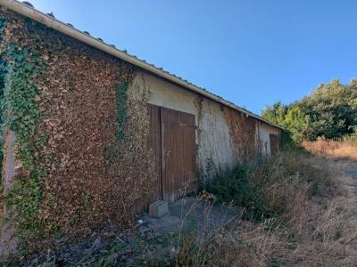 Annonce Vente Maison Bouvron 44