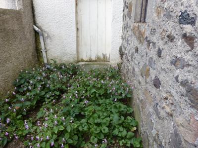 Acheter Maison 80 m2 Laussonne