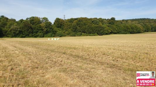 Acheter Terrain 326 m2 Belfort