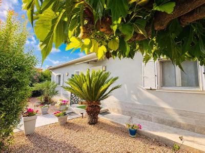 Annonce Vente 4 pi�ces Maison Porto-vecchio 20