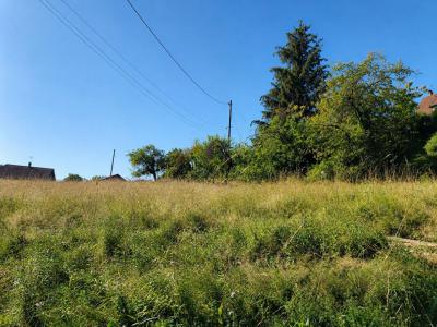 For sale Gillonnay 458 m2 Isere (38260) photo 0